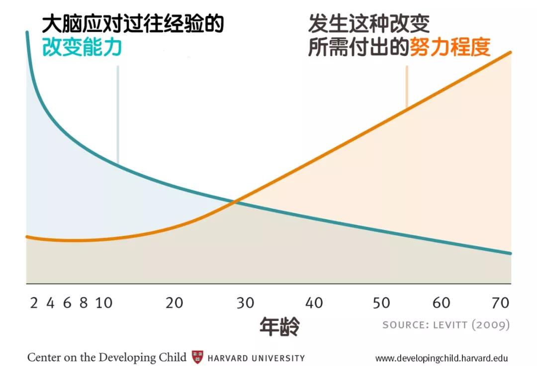 孩子大脑发育头三年，60%的父母都不知道这些！(图3)